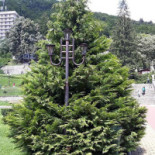 Pizzeria Class Exterior