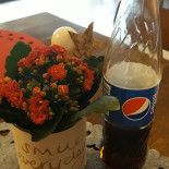 Pizzeria Class Bebida