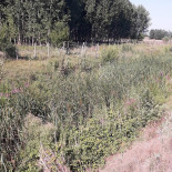 Pensiunea Aquavilla Exterior