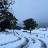 La Conac Evenimente Catering Extérieur