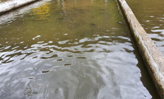 Complex Lostrita Extérieur