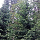 Cabana Juliano Extérieur