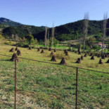 Tessence Pub Exterior