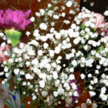 Euforia Trusesti Boisson