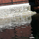 Pastravaria Bistra Muresului Boisson