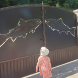 Pastravaria Bistra Muresului Boisson