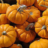 Terasa Rustic Boisson