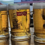 Pensiunea Domnika Boisson