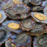 Pensiunea Domnika Boisson