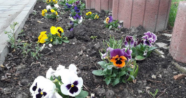 Lortibis Impex Eva Extérieur