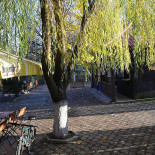 Ograda Gugulanului Exterior