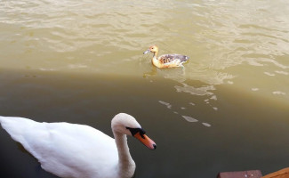 Restaurant Keops Boisson