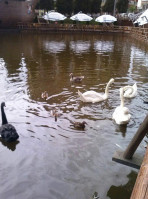 Restaurant Keops Boisson