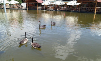 Restaurant Keops Extérieur