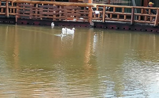 Restaurant Keops Extérieur