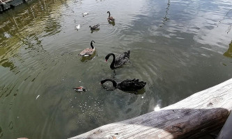 Restaurant Keops Boisson