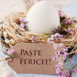 Sandwich House Bebida