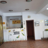 Pensiunea Floarea Soarelui În interior