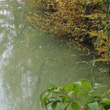 Cabana Zapode Außen