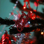 Verlin @pizza Bebida