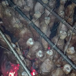 Bistro Lunch Extérieur