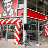 Cuibul Viselor Pension Extérieur