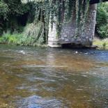 Cuibul Viselor Pension Extérieur