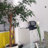 Boulevard Extérieur