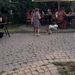 Boulevard Extérieur