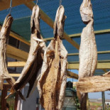 Casa Stejarului Ingenuncheat Boisson