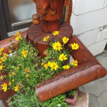 Watermill Pension And Trout Băutură