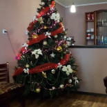Ris Pizzerie Si În interior