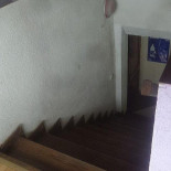 Colibris Marginea Boisson