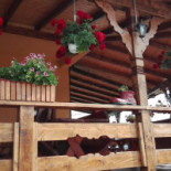 Alexandru's Royal À l'intérieur