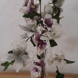 Restaurantul Luk Bebida