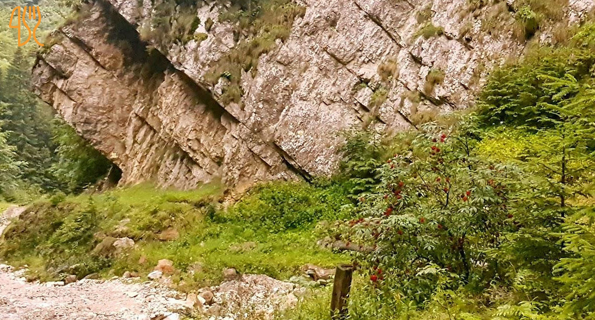 Pensiune Piatra Craiului Exterior
