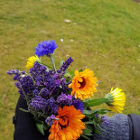 Taverna Marelui Paharnic Comana Boisson