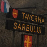 Taverna Sarbului Carte