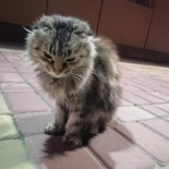 La Strada Bistro Bebida