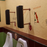 Hanul Domnesc Boisson