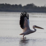 Lebada Luxury Resort Boisson