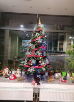 Fast Food Darnic Bebida