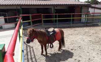Ferma Cocosu Rosu Extérieur