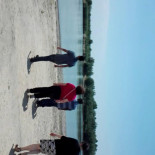 Faleza Dunării Boisson