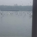 Restaurant la Ponton Extérieur