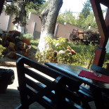 Summer Garden Exterior