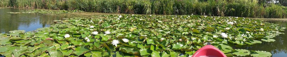 Artha Park Extérieur