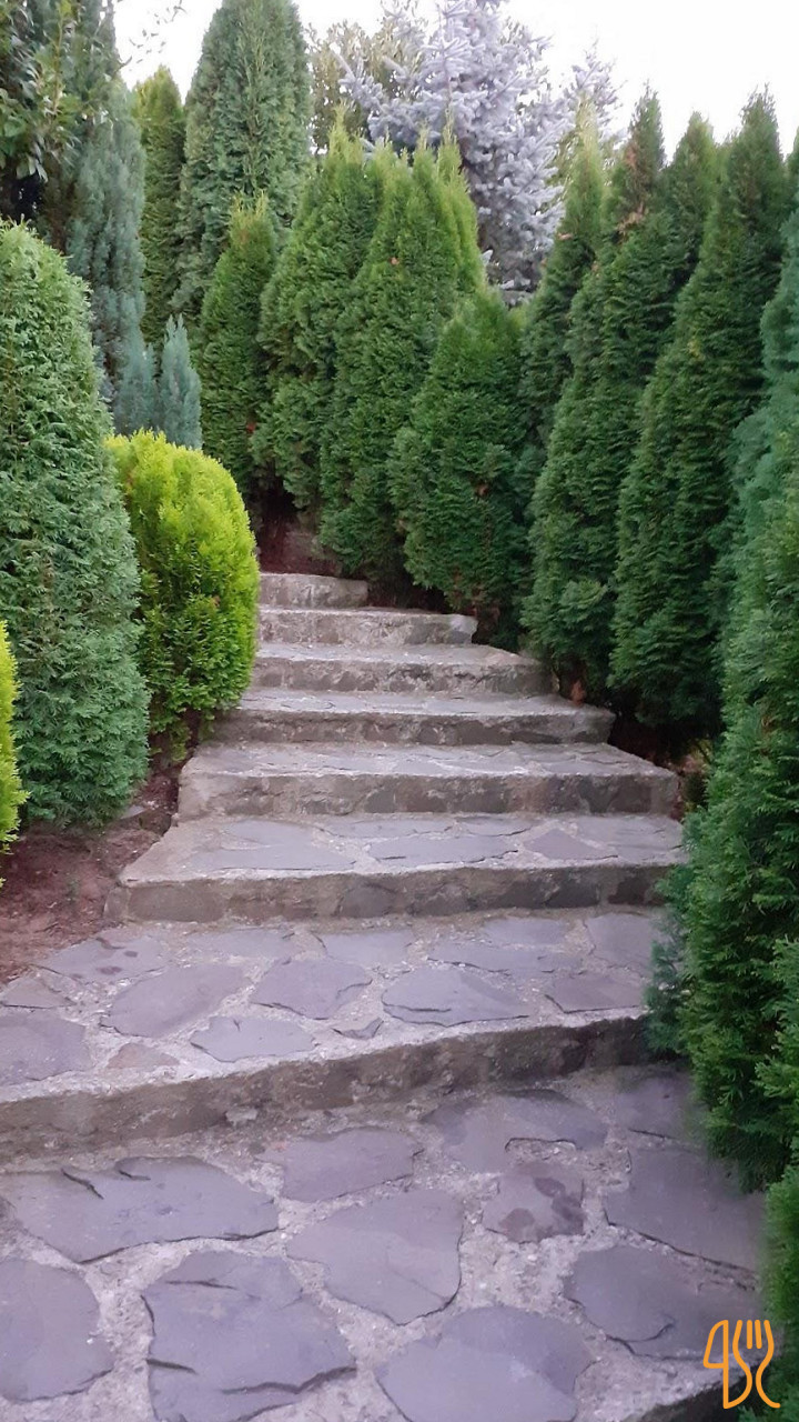 Pensiunea Romantic Exterior