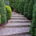 Pensiunea Romantic Exterior