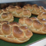 Alessia Star Arbore Nourriture